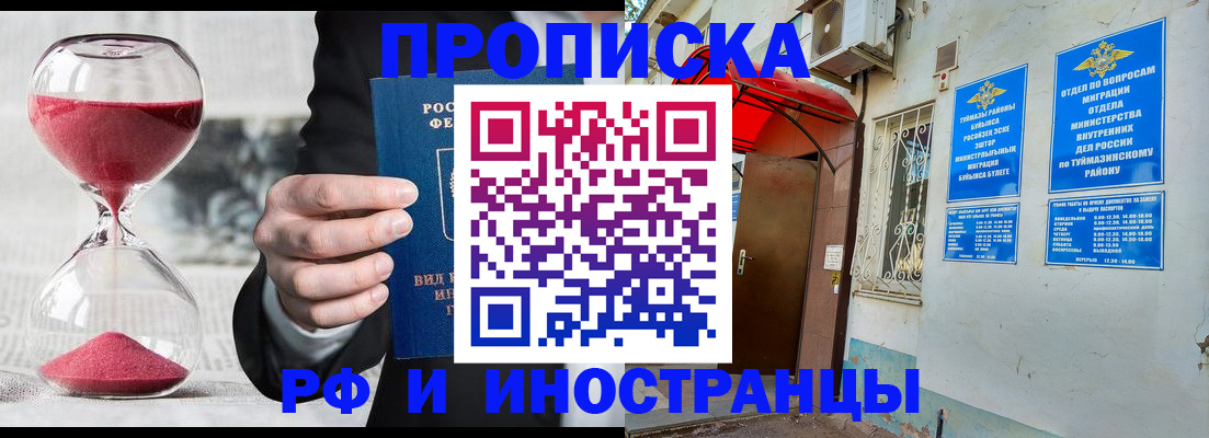прописка 2025 в Чудово
